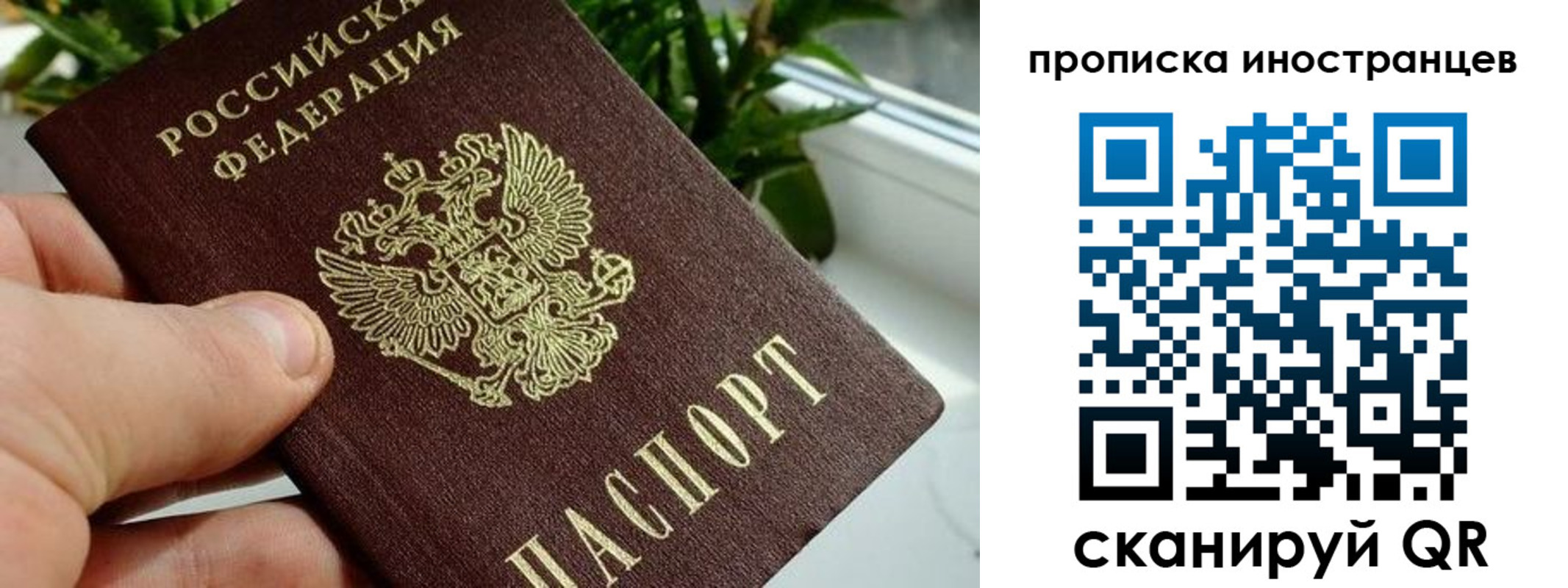 временная регистрация в Ясном